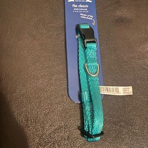 Large Youly Turquoise dog collar